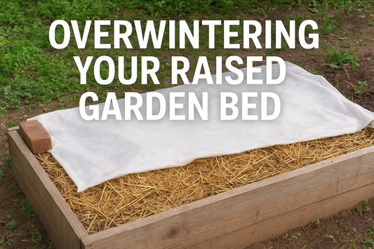 Overwintering Raised Garden Beds: A Zone-by-Zone Guide