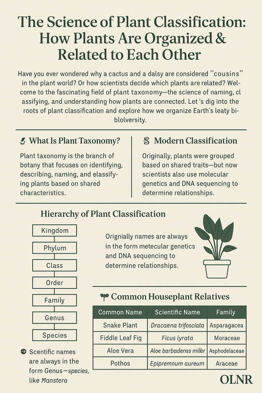 🌿 The Science of Plant Classification