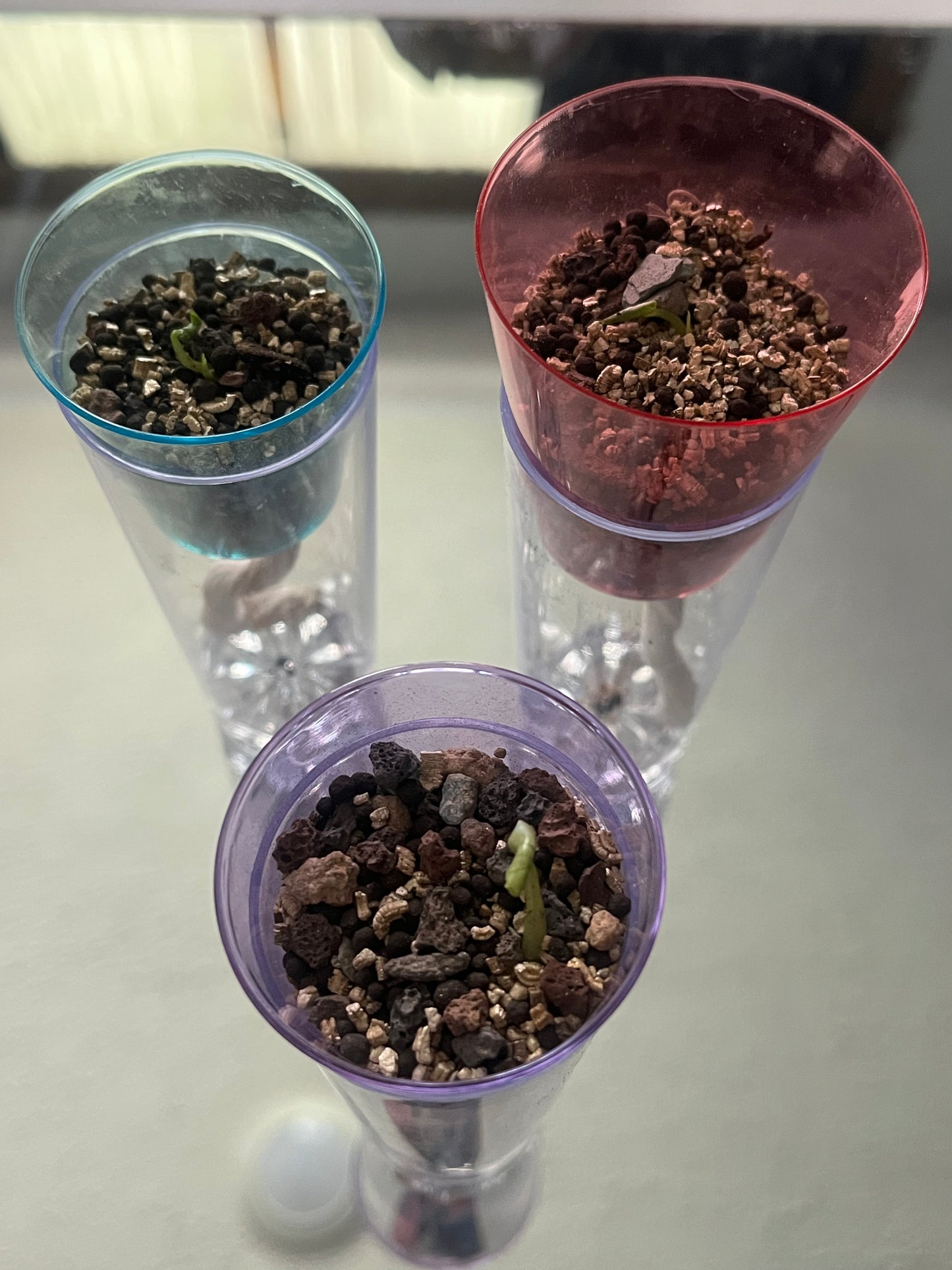 OrganicLi’s Corm Cup (Earthy Kit)