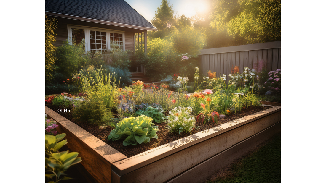 🌿Outdoor Raised Bed Gardening: The Path to Planting Paradise🌿