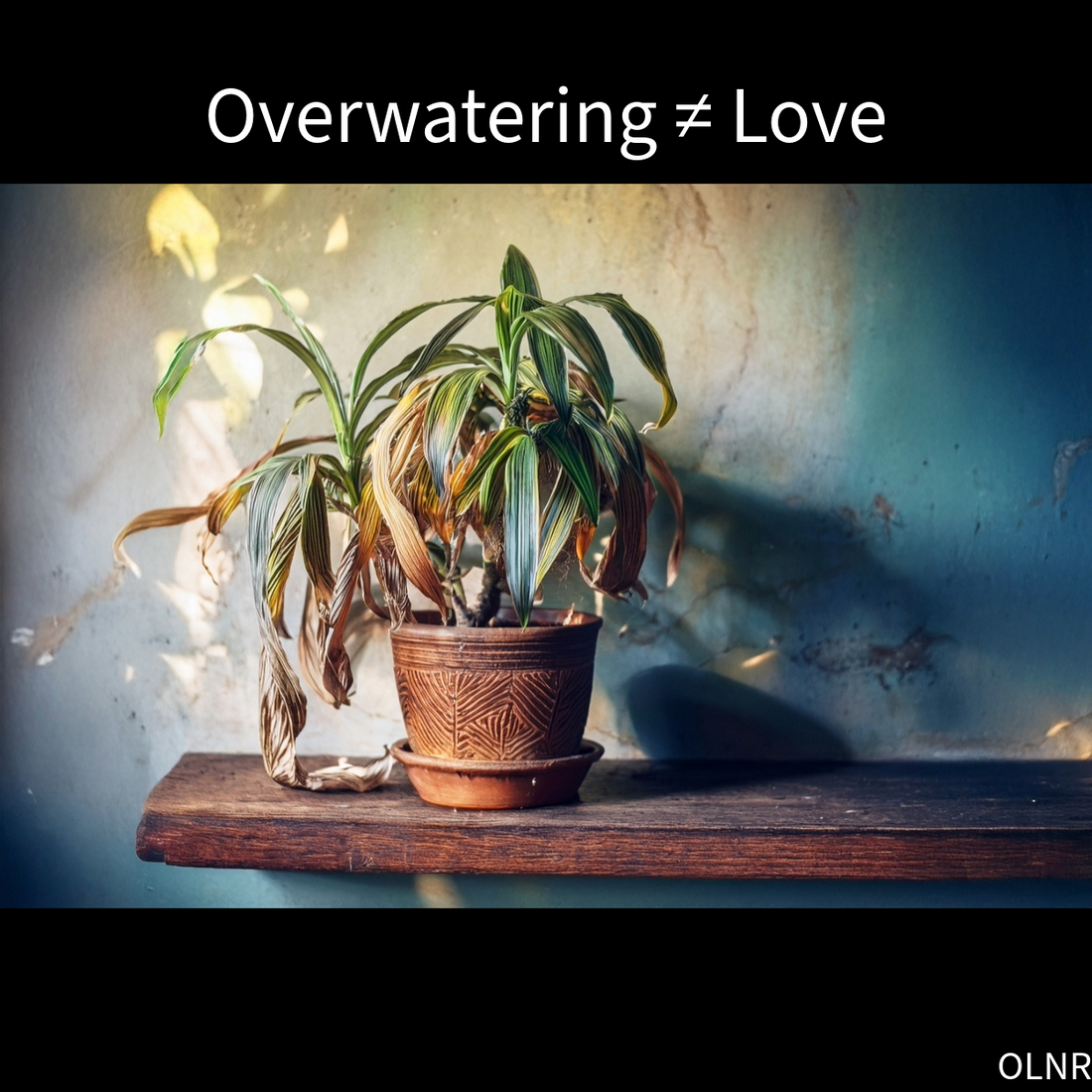 Stop Drowning Your Plants: Why Your Watering Routine Might Be Killing Them