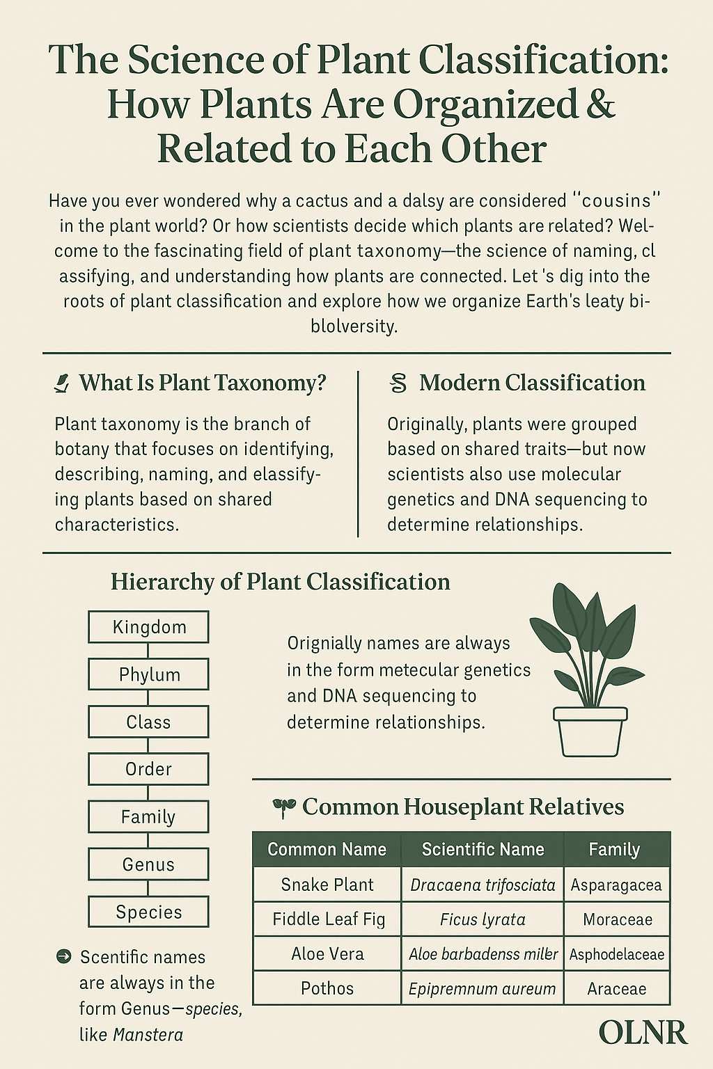 🌿 The Science of Plant Classification