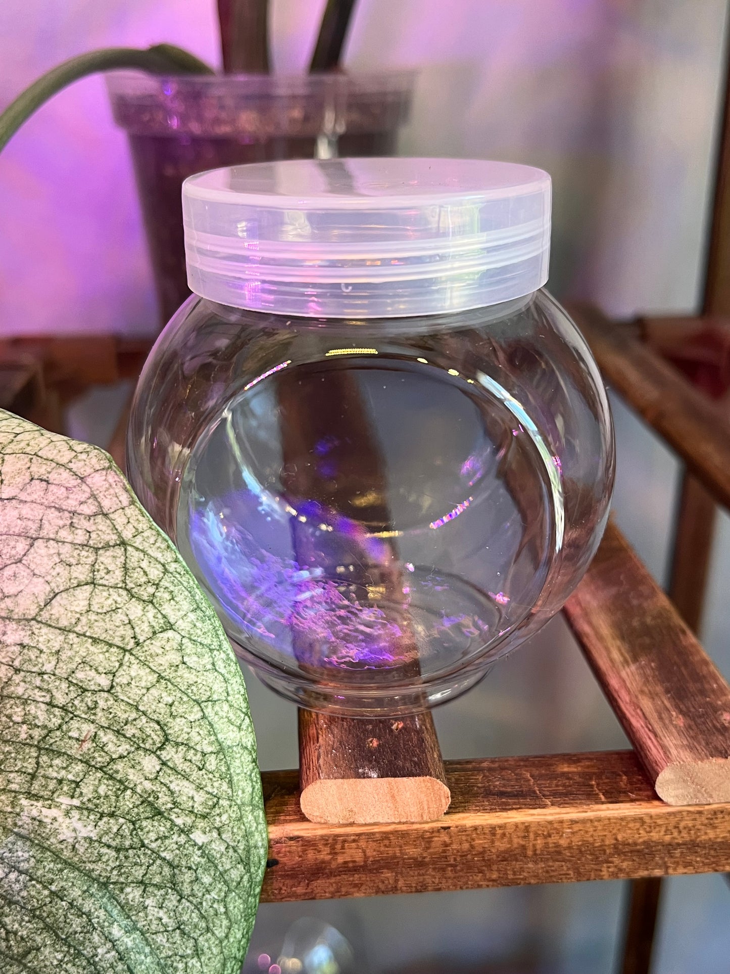 Terrarium Jars