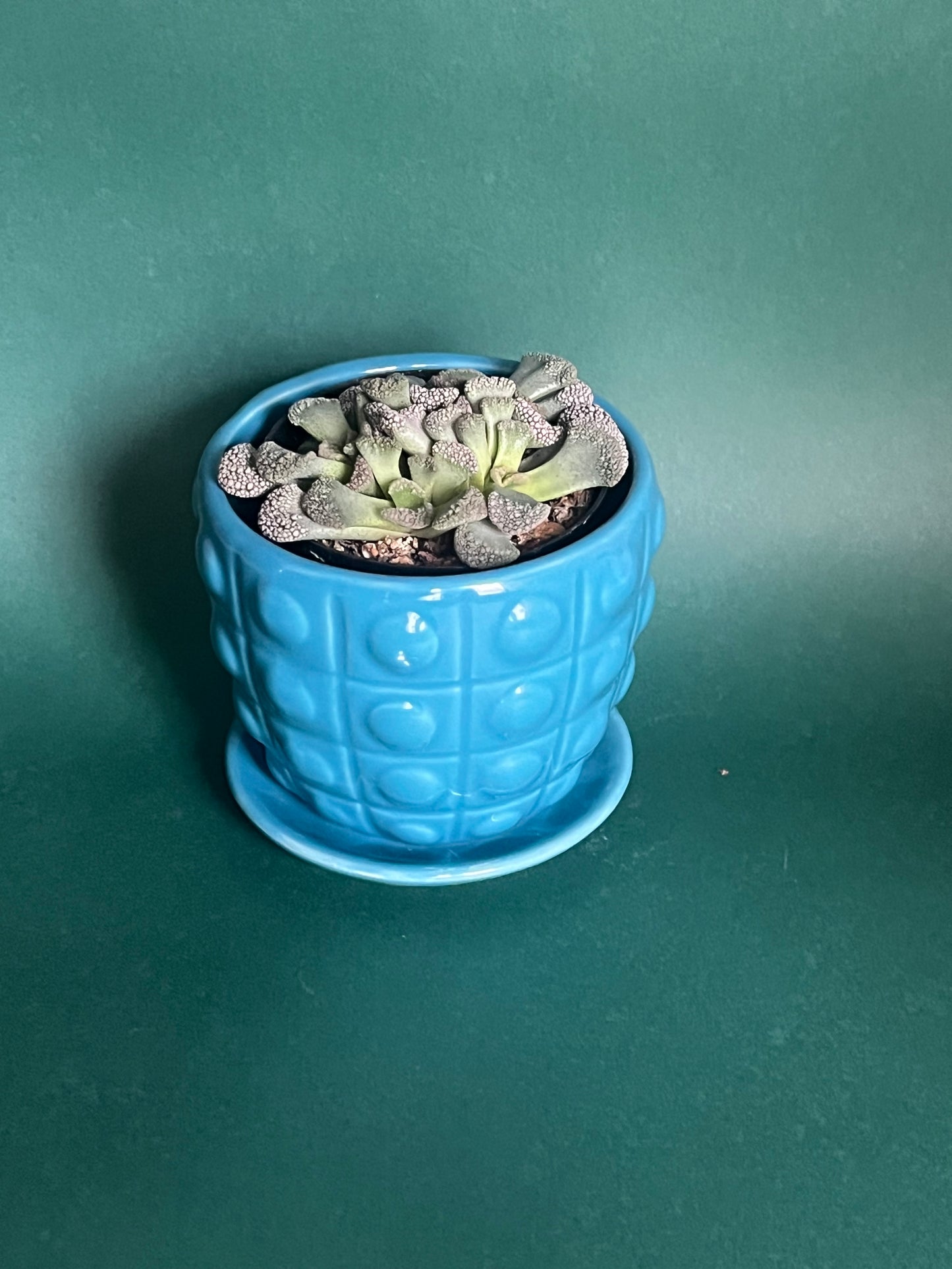 Ceramic 3” Pot