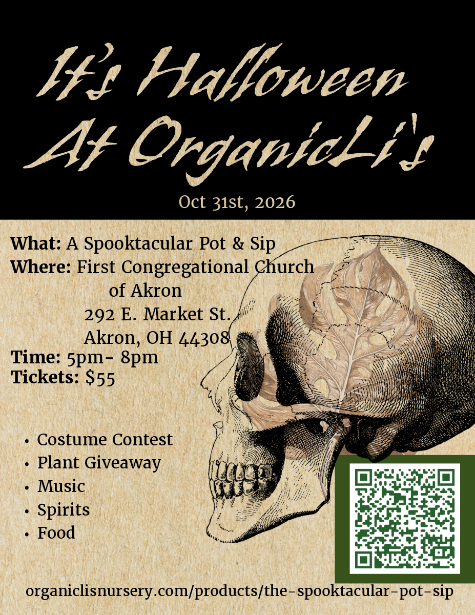 The Spooktacular Pot & Sip