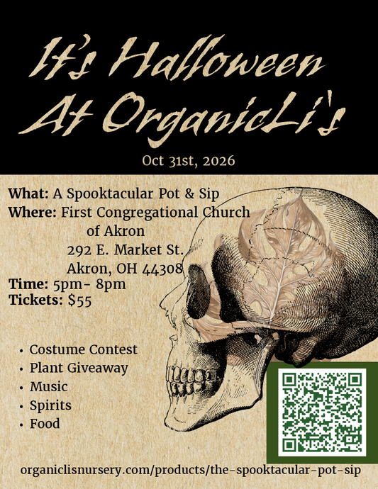 The Spooktacular Pot & Sip